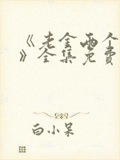 《老金两个儿媳》全集免费观看