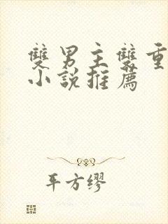 双男主双重人格小说推荐