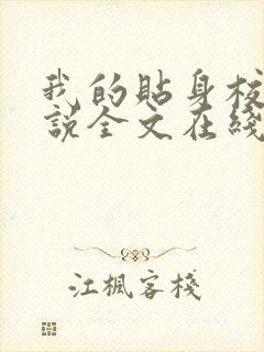 我的贴身校花小说全文在线阅读