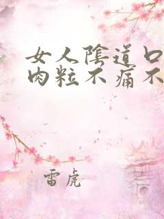 女人阴道口长小肉粒不痛不痒