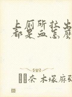 上厕所拉出来的都是血怎么办