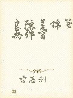 良陈美锦笔趣阁无弹窗