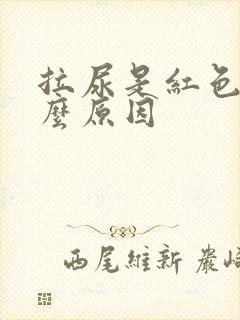 拉尿是红色的什么原因