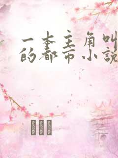 一本主角叫叶欢的都市小说