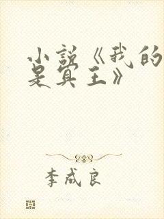 小说《我的老公是冥王》