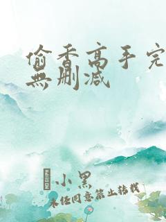 偷香高手完整版无删减