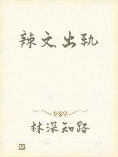 辣文出轨