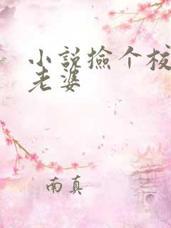 小说捡个校花做老婆