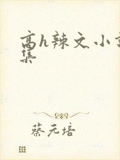 高h辣文小说合集