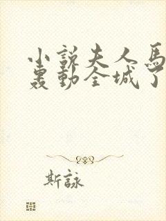 小说夫人马甲又轰动全城了