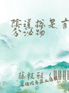 阴道总是有黄色分泌物