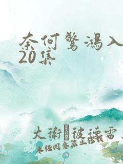 奈何惊鸿入我心20集