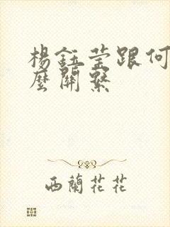 杨钰莹跟何炅什么关系