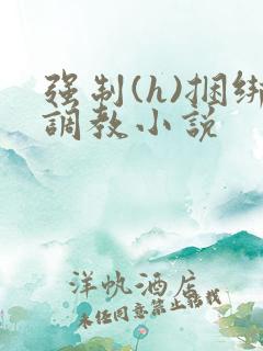 强制(h)捆绑调教小说