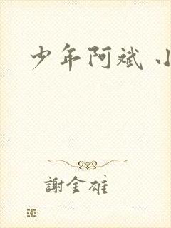 少年阿斌 小说