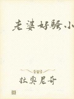 老婆好骚小说