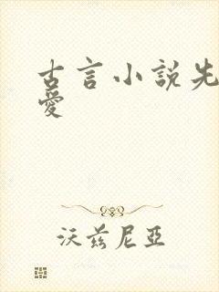 古言小说先婚后爱