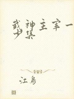 武神主宰一共多少集