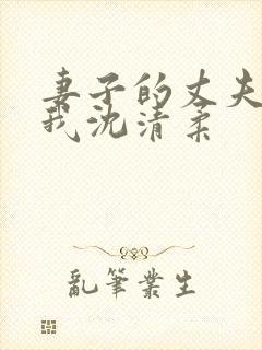 妻子的丈夫不是我沈清柔