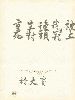 重生后我被渣男死对头宠上天短剧