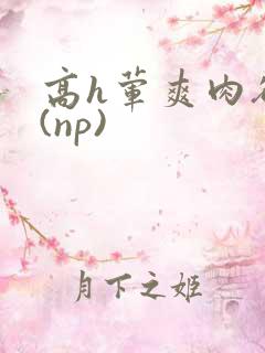高h荤爽肉欲文(np)