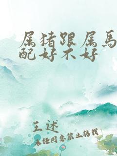 属猪跟属马的婚配好不好