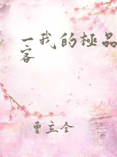 一我的极品女房客