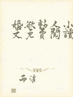 婚欲动人小说全文免费阅读