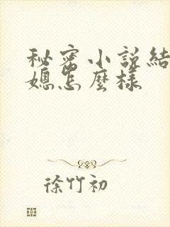 秘密小说结局儿媳怎么样