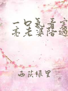 一口气看完《漂亮老婆陪过年》全集