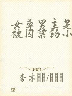 女尊男主是将军被囚禁的小说