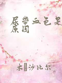 尿带血色是什么原因