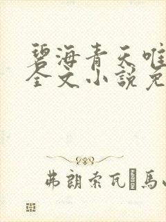 碧海青天唯念君全文小说免费阅读