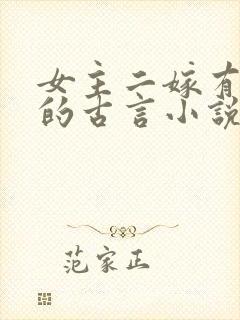 女主二嫁有孩子的古言小说