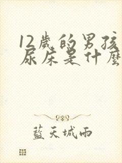 12岁的男孩还尿床是什么原因