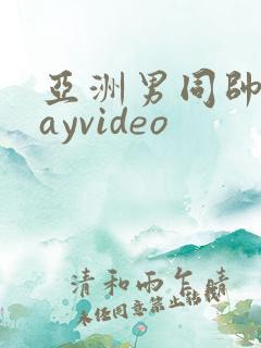 亚洲男同帅哥gayvideo