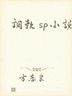 调教 sp小说