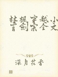 林枫穿越小说神霄剑宗全文阅读