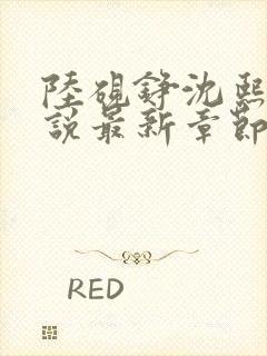 陆砚铮沈熙颂小说最新章节免费阅读