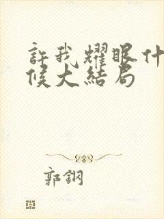 许我耀眼什么时候大结局