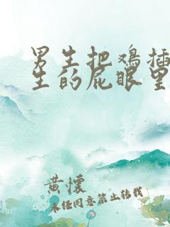 男生把鸡插进女生的屁眼里