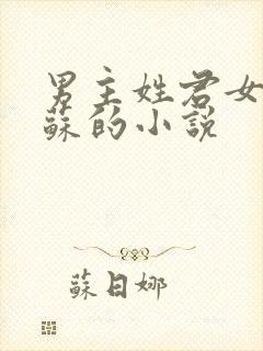 男主姓君女主姓苏的小说