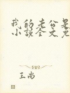 我的老公是大佬小说全文免费阅读