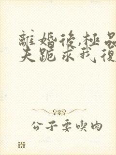 离婚后,极品前夫跪求我复婚