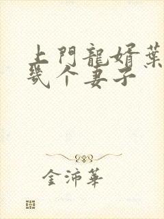 上门龙婿叶辰有几个妻子