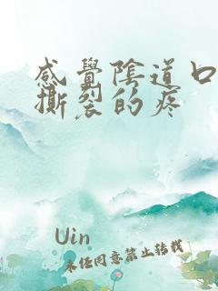 感觉阴道口有点撕裂的疼