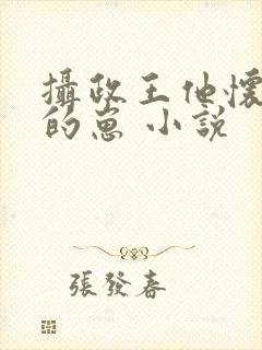 摄政王他怀了朕的崽 小说