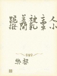 跪着被主人调教拨开乳罩小说