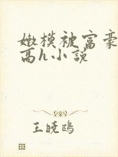 嫩模被富豪玩弄高h小说