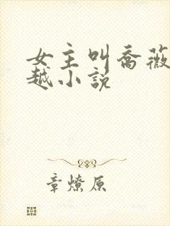 女主叫乔薇的穿越小说